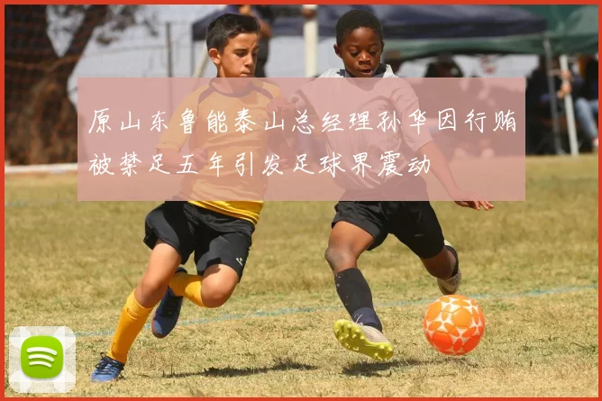 原山东鲁能泰山总经理孙华因行贿被禁足五年引发足球界震动