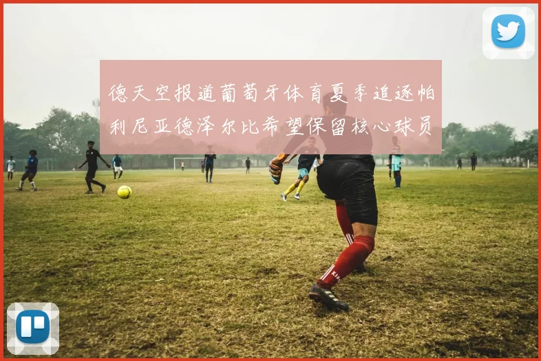 德天空报道葡萄牙体育夏季追逐帕利尼亚德泽尔比希望保留核心球员